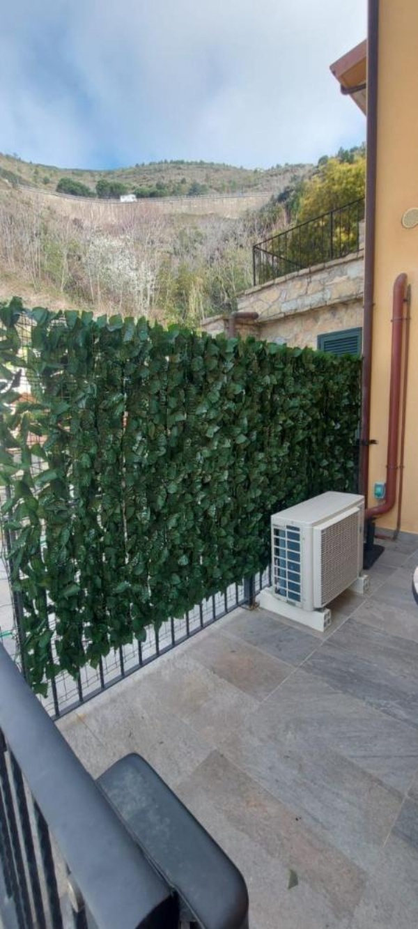 Estate Riomaggiore image 12